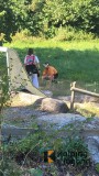 20260814_161830_1